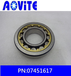 Terex differential bearing 07451617